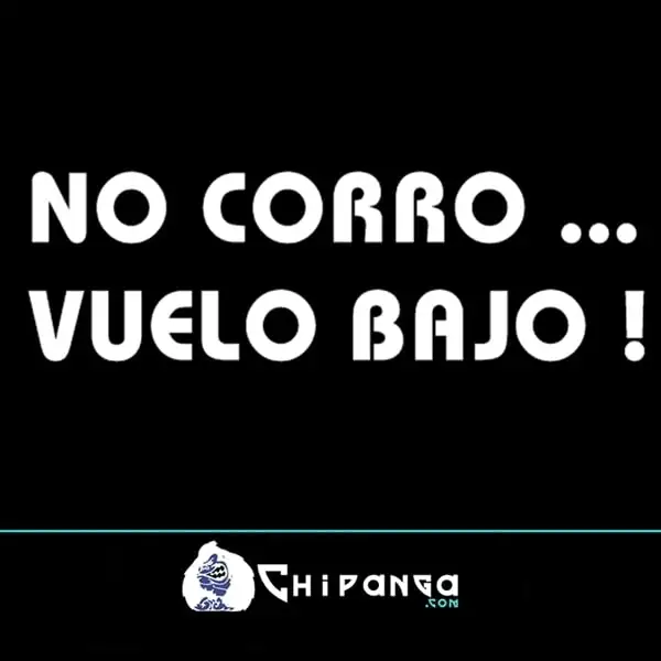 Pegatina para coche frase No corro vuelo bajo n