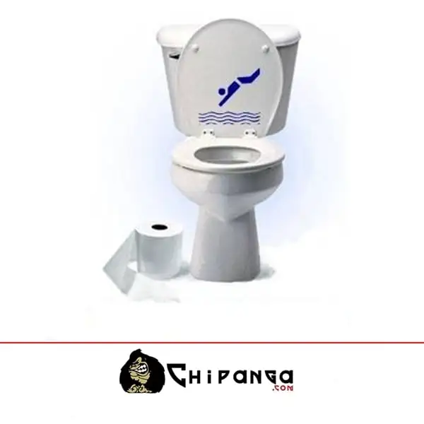 Vinilo Cisterna WC Tirandose al agua