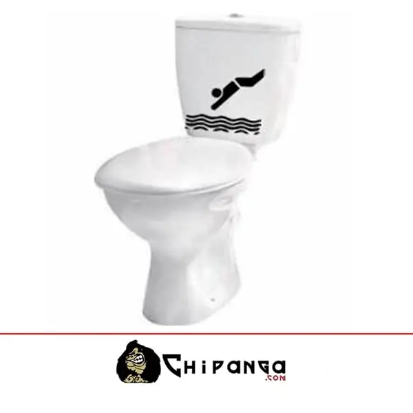 Vinilo Cisterna WC Tirandose al agua 2