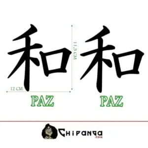 Kit Pegatinas para coche moto Kanji Paz