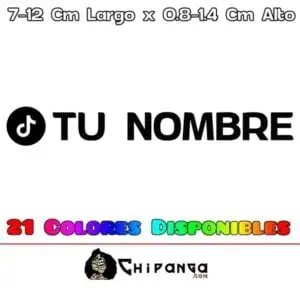 Pegatina TikTok Nombre Redes Sociales RRSS 9 a 12 Cm Casco Moto Coche Bici